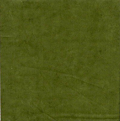 Tricoline estonado verde 25x150 - Un