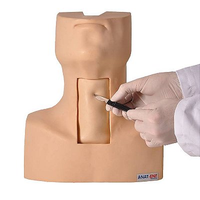 Modelo Simulador de Traqueostomia