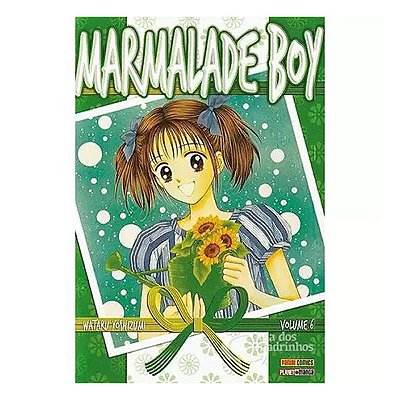 Manga: Marmalade Boy Vol.06