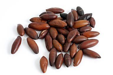 Castanha de Baru Torrado - Rei das Castanhas