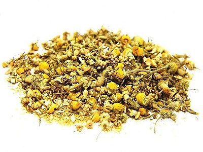 Camomila em Flor - Rei das Castanhas