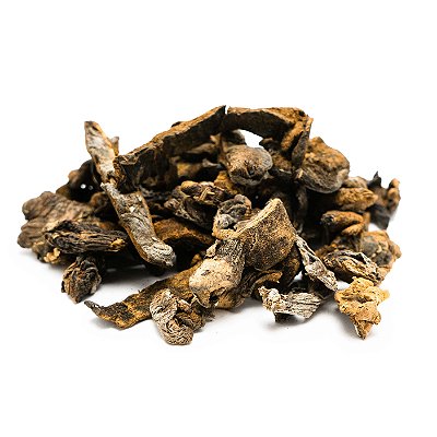 Funghi Desidratado - Rei das Castanhas