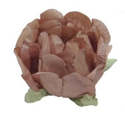 Forminha Para Doces Flor Bela 30 un Avelã - Decora Doces