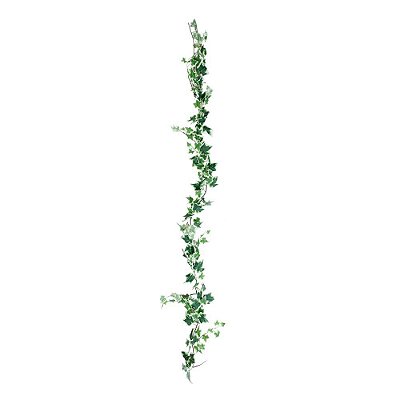 Galho Longo Folhas Eras Verde com Branco 2Mts - Flores e Galhos Permanetes - Ref 1015988 Cromus
