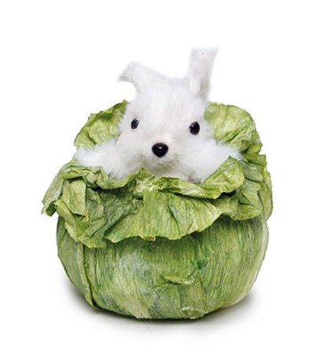 Coelho Branco de Palha Italiana Dentro de Folhas 10x10cm - Coleção Mignon - Ref 1827164 Cromus