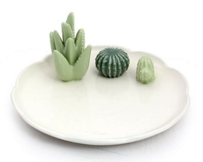 Prato de Cerâmica Redondo com Aplique Cactos 22x22x11cm - Coleção Tropical - Ref 1821893 Cromus