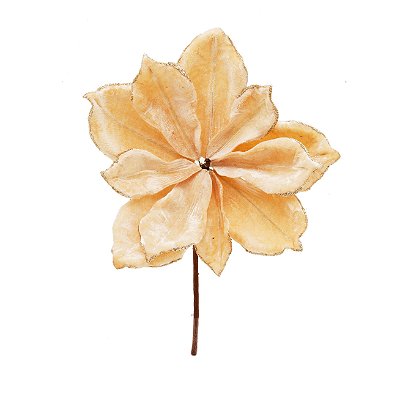 Flor de Natal Magnólia Veludo Nude Creme - Flores Cabo Curto - Ref 1922731 Cromus