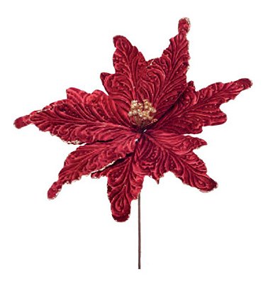 Flor de Natal Poisentia de Veludo Marsala Flores Cabo Curto - Ref 1024452 Cromus