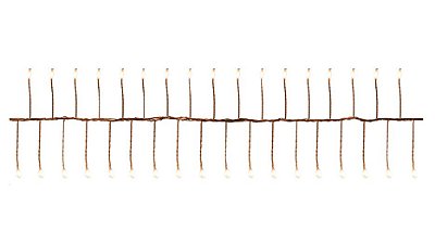 Cordão de Led 180L Fio Cobre Cor Clara 250cm Bivolt com 1 Unidade - Ref 1691966 Cromus