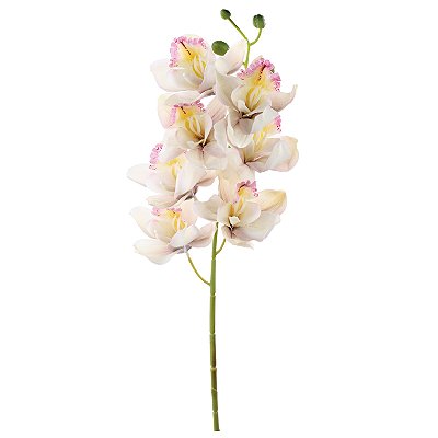 Haste Orquídea Chá Cymbidium com 7 Flores 72cm - Ref 1062482 Cromus