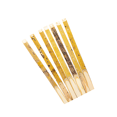Palito Para Petiscos de Bambu 12cm c/ 20 Un - Silver Plastic