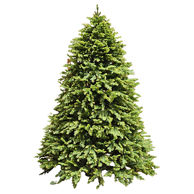 Árvore de Natal Pinheiro Acapulco Luxo 210cm com 1535 Hastes, 1030 Leds 7 Funções - Ref 1056494 Cromus