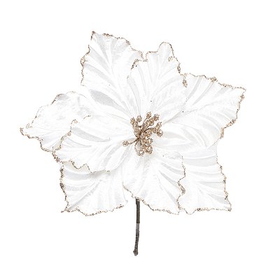 Flor de Natal Poisentia de Veludo Branco com Borda Dourada 15cm - Ref 1920266 Cromus