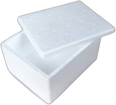 Caixa de Isopor Sorvete 250 Gramas 11x9.5x7.6cm com 1 Unidade - Styroform