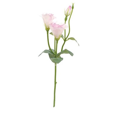 Haste Lisiantus Rosa Claro 45cm - Ref 1093294 Cromus