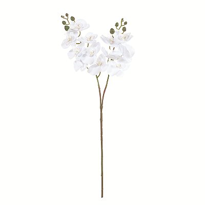 Haste Dupla de Orquídea Branca com 12 Flores 63cm - Ref 1086426 Cromus