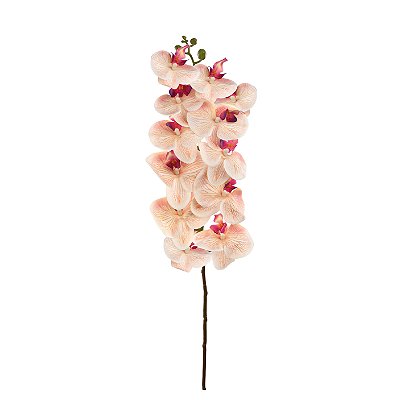 Haste de Orquídea Linho com 12 Flores 75cm - Ref 1062248 Cromus