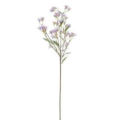 Haste Campanula Lilas 73cm - Ref 1093156 Cromus