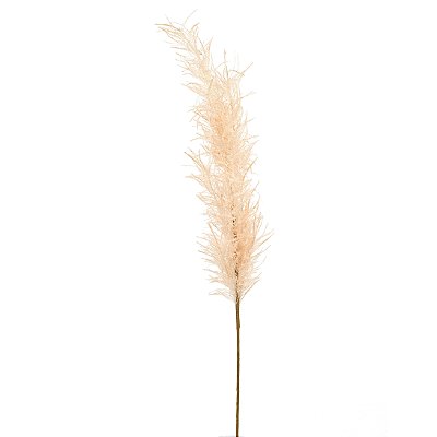 Galho Longo Capim dos Pampas Permanente Nevado Creme 96cm - Ref 1044547 Cromus
