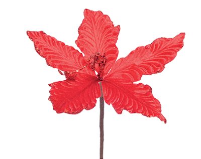 Flor de Natal Poisentia Vermelha Borda Glitter 20cm - Ref 1025016 Cromus