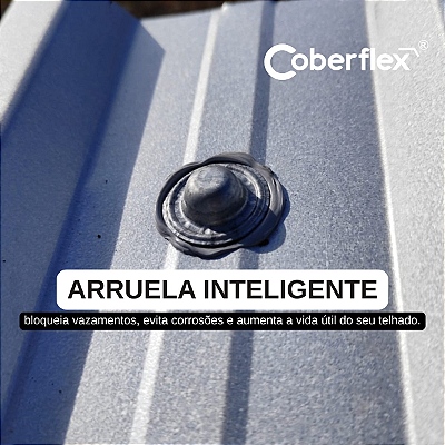 ARRUELA INTELIGENTE 2
