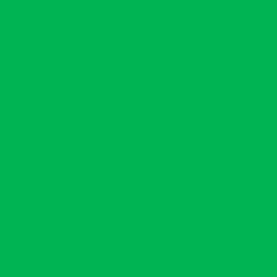 Gelatina para Refletores Lee Filters 124 Verde Dark Green