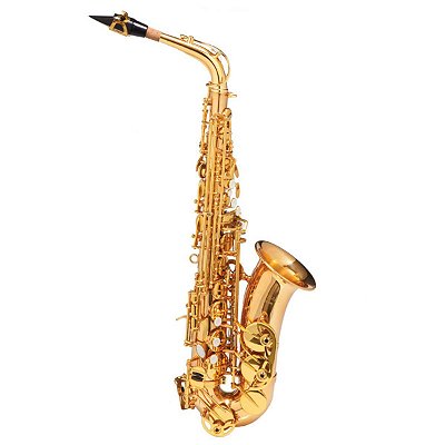 Saxofone Sax Alto Michael Dual Gold WASM48 Eb