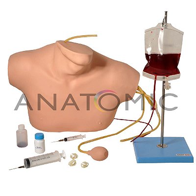 Simulador para Cateterismo Venoso Central - TGD-4069-B