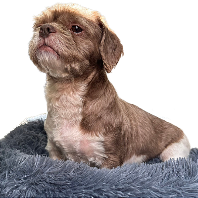 Cama Pet Nuvem Pelúcia Redonda Para Cachorros E Gatos Tamanho 70 cm Cinza Escuro