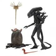 Alien 7" Scale Action Figures - Ultimate 40th Anniversary Big Chap