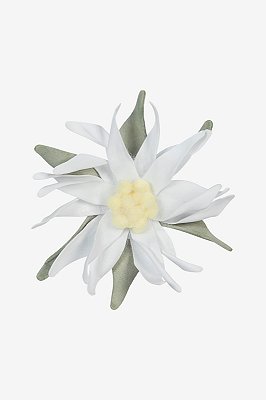 EDELWEISS G