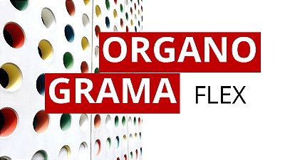 Apresentação Organograma Flex em Powerpoint