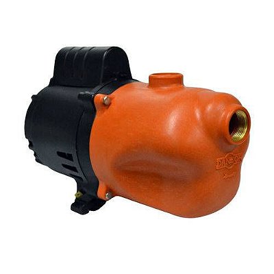 Bomba Auto Aspirante Ultra 1/2  Da-2 110v Dancor