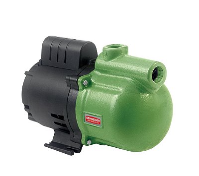 Bomba Auto Aspirante 1cv Asp 98 1 m 60 220v Schneider