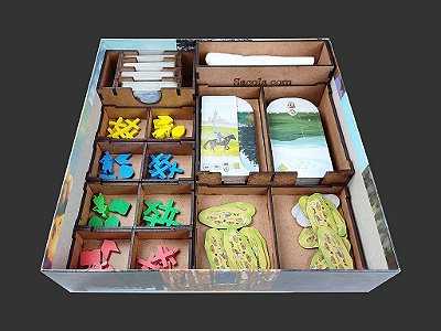 Organizador (SOFT INSERT PARANÁ) para Stroganov