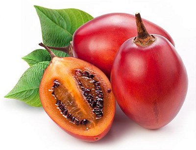 Mudas de Tomate Japonês- tamarilho-Tomate Árvore