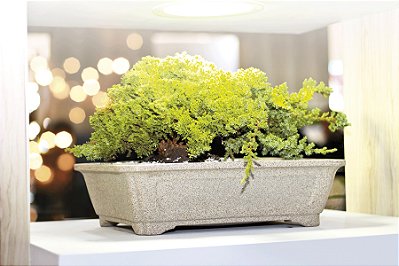 Vaso Texturizado Pré-Bonsai 13 - Areia - Nutriplan