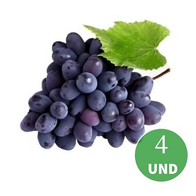 Kit 4 Mudas uva Vênus sem semente para climas quentes enxerto