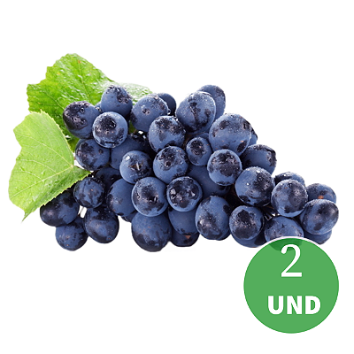 Kit 2 Uvas BRS Violeta para Vinhos e Suco para Clima Tropical - Enxertada