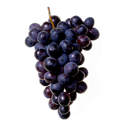 Mudas Uva Francesa Preta para Vinho e suco ou em Natura-enxerto