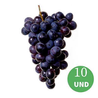 Kit 10 Mudas Uva Francesa Preta  para Vinho e suco ou em Natura-enxerto