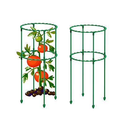 Treliça de Escalada  Suporte para Tomate Flor Videira  e Flores