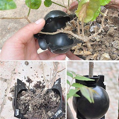 Bola de Enraizamento de Plantas Reutilizáveis - Mudas Alporquia