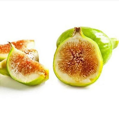 Muda de Figo Pingo de Mel ou Kadota de estaca ja produz