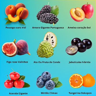 Kit 9 Mudas Frutiferas Premium-Produção Rapida