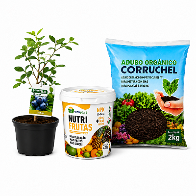 Kit Muda de Mirtilo Climax + Fertilizante Nutrifrutas + Adubo Orgânico 2Kg