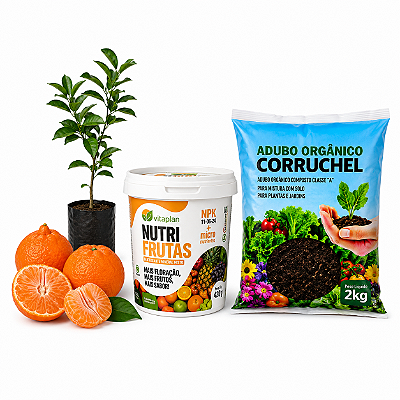 Kit Muda de Tangerina Ponkan + Fertilizante Nutrifrutas + Adubo Orgânico 2Kg