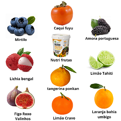 Kit 9 Mudas Frutíferas Selecionadas Clonadas e Enxertadas