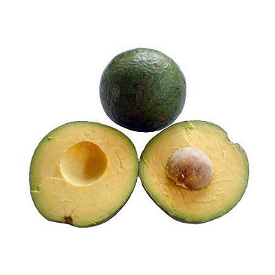 Muda De Abacate Margarida - Enxertadas