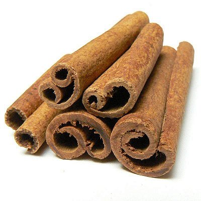 Muda de Canela da Índia ou  caneleira do ceilão (Cinnamomum zeylanicum)